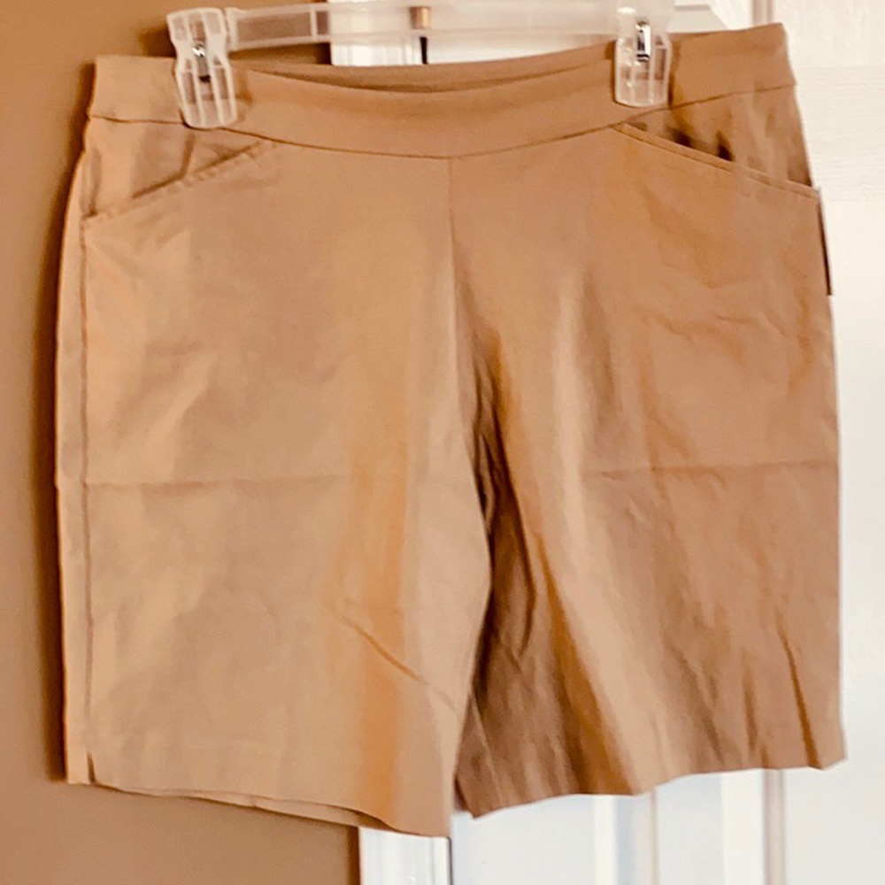 Gorgeous Time & Tru Stretch Mid-Rise Shorts🎁. - Picture 10 of 12
